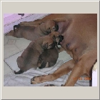 DSCN9505.JPG