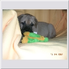 DSCN9513.JPG