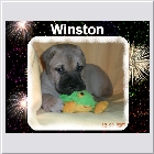 DSCN9519.JPG