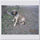 DSCN9549.JPG