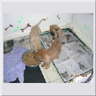 DSCN9598.JPG