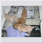 DSCN9599.JPG