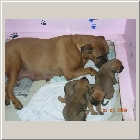DSCN9627.JPG