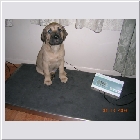DSCN9699.JPG