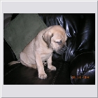 DSCN9702.JPG