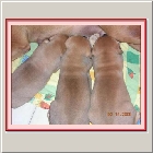 DSCN9768.JPG