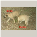 Dscn1163.jpg