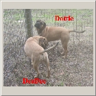 Dscn1171.jpg