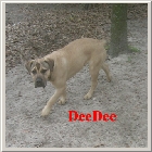 Dscn1196.jpg