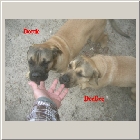 Dscn1198.jpg