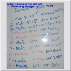 Dscn2671.jpg