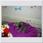Dscn3274.jpg
