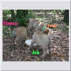 Dscn4448.jpg
