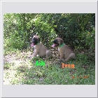 Dscn4506.jpg