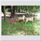 Dscn4521.jpg