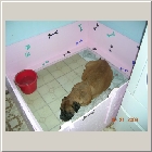 Dscn7343.jpg