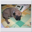 dscn2439.jpg