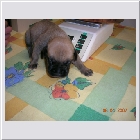 dscn2474.jpg