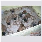 dscn3823.JPG