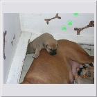 dscn5198.jpg