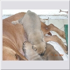 dscn5206.JPG