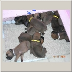 dscn7648.jpg
