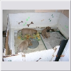 dscn9411.jpg