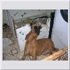 dscn9443.JPG