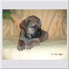 dscn9497.jpg